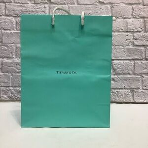 Tiffany & Co. Empty Shopping Paper Bag in Good Condition